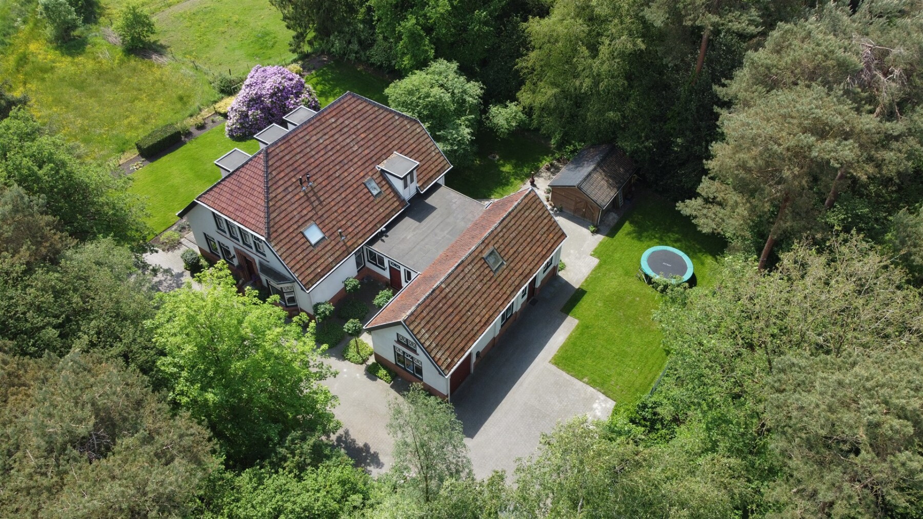 01d