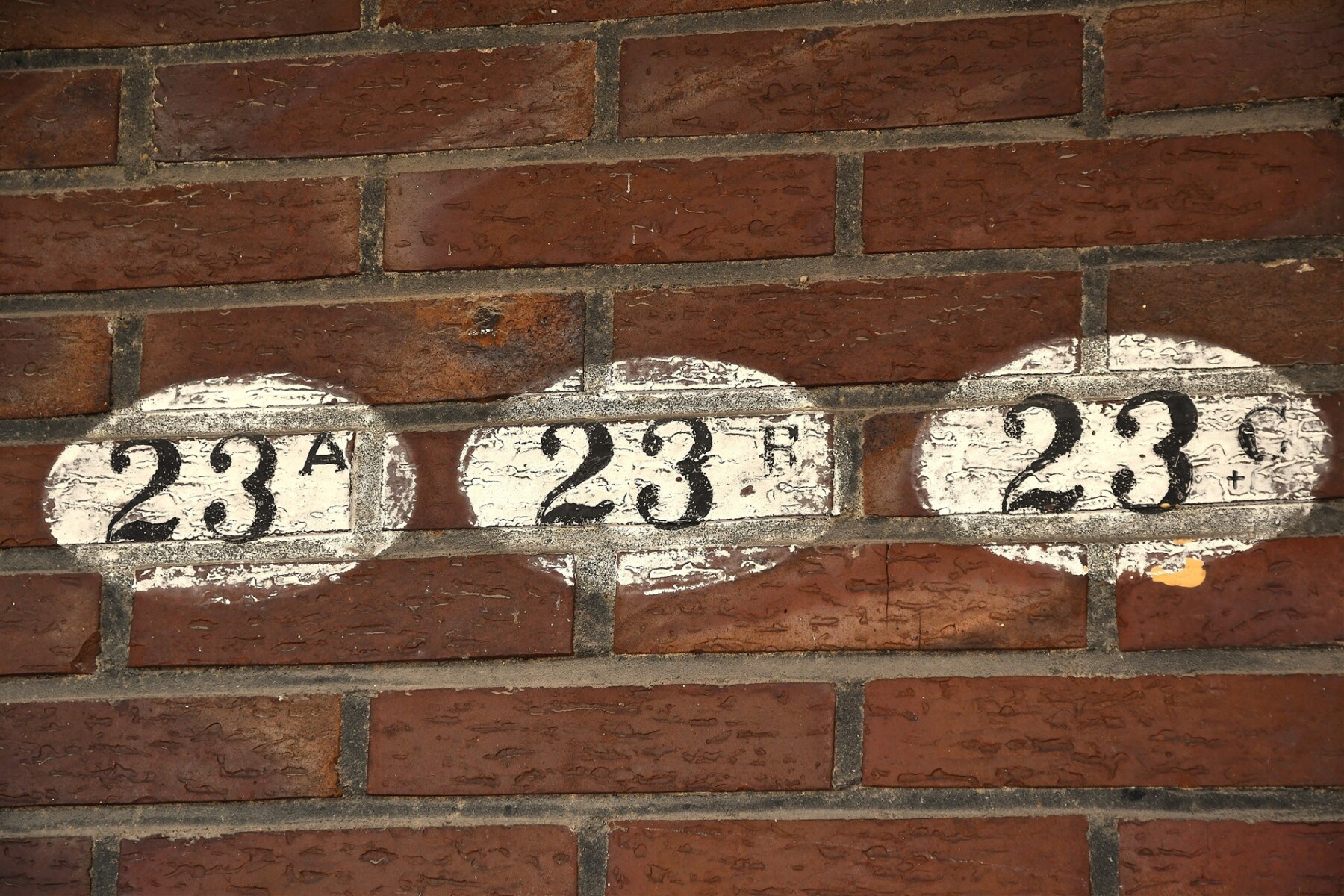 06 v39