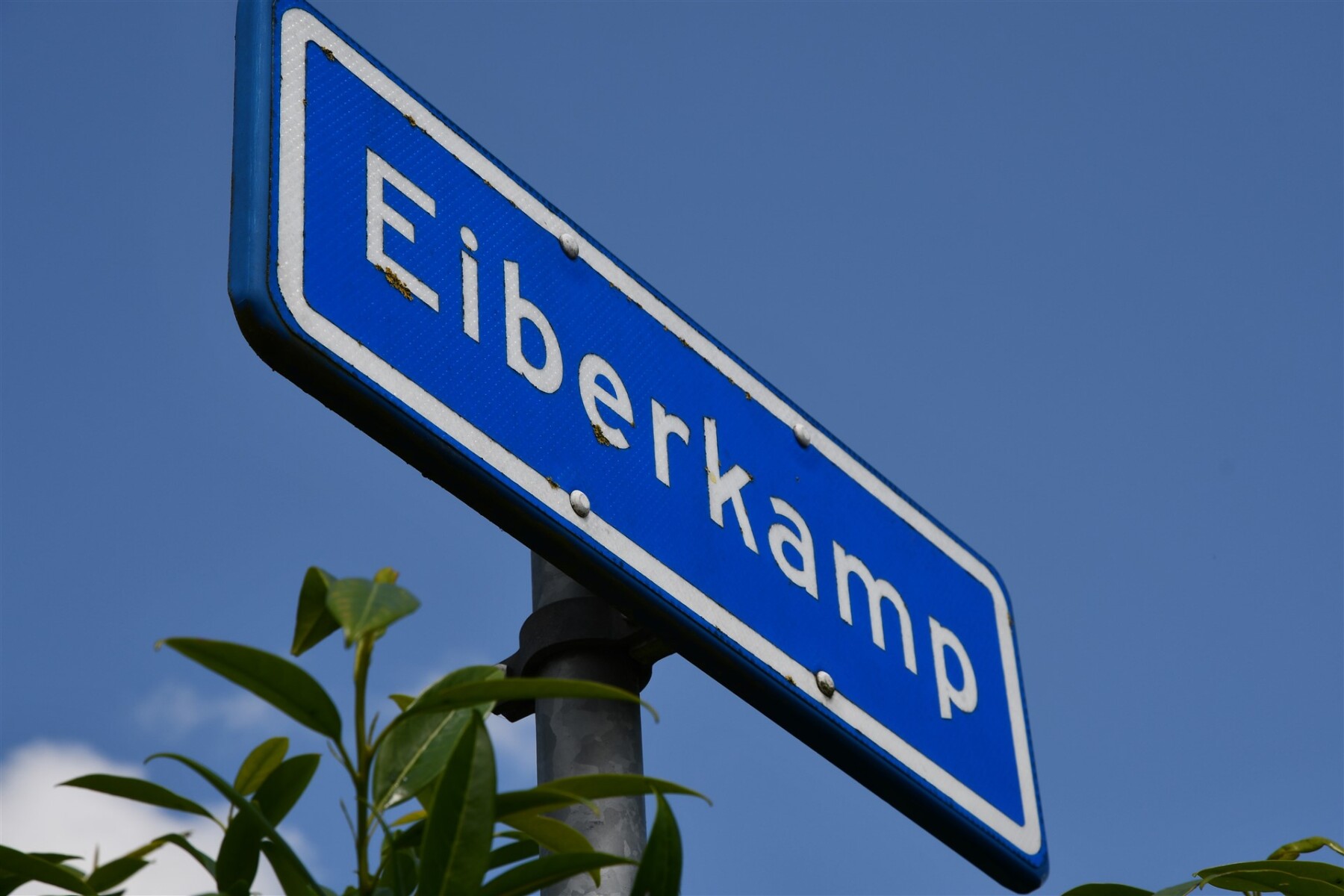 Eiberkamp 31