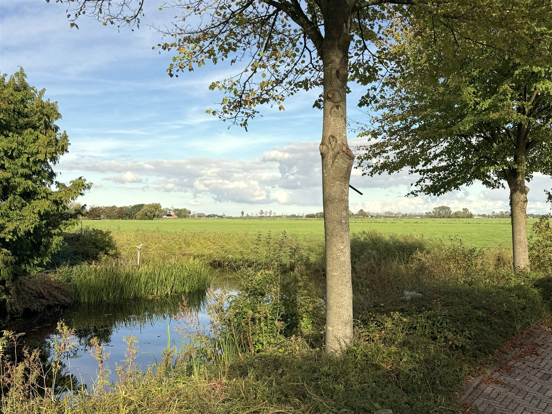 In voorbereiding