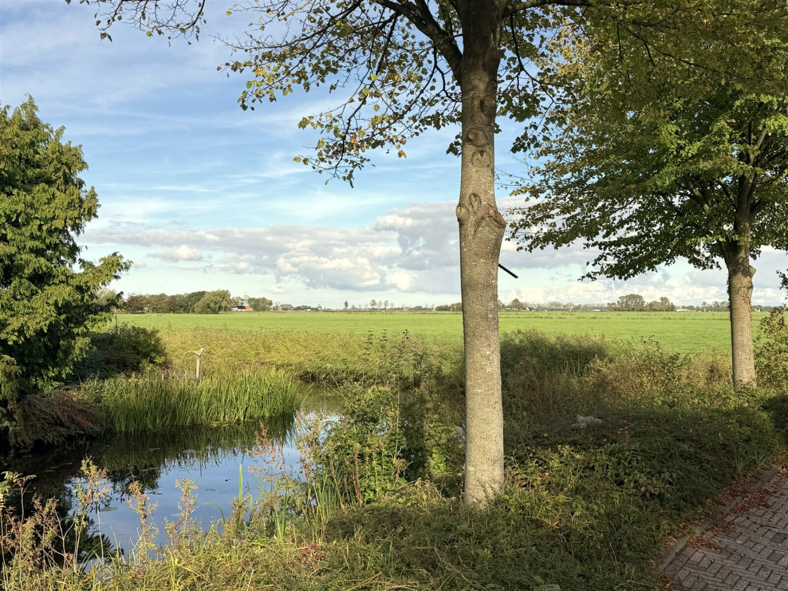IMG 4993 1920 x 1440