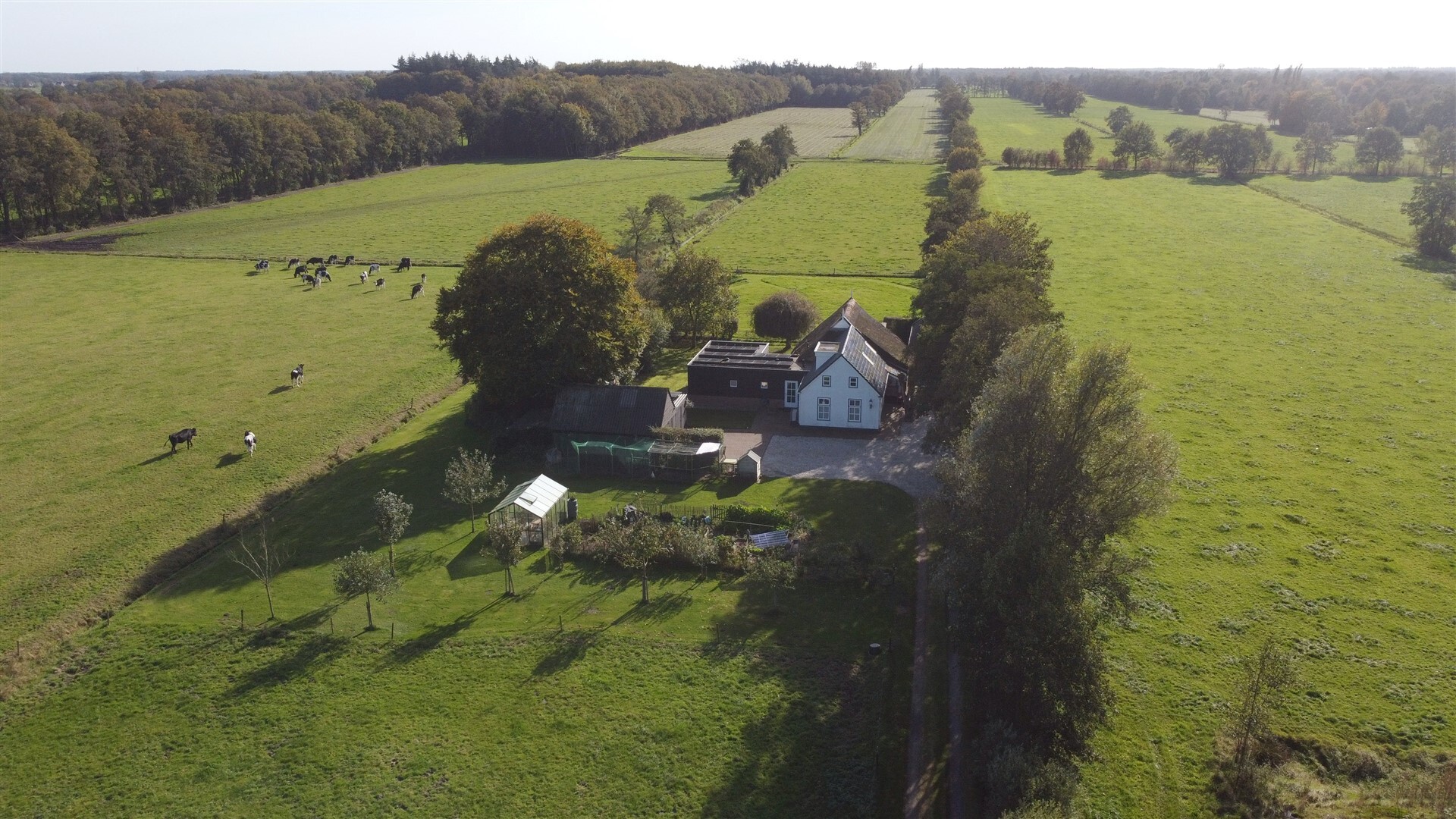 Landelijke vrijheid op een idyllische plek in Nuis