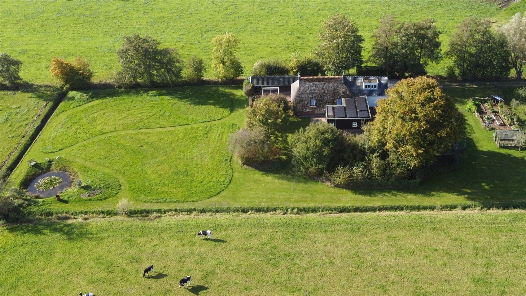 Zuiderhoek 03 v2