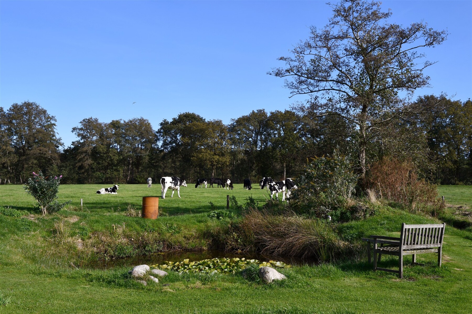 Zuiderhoek 05a v2