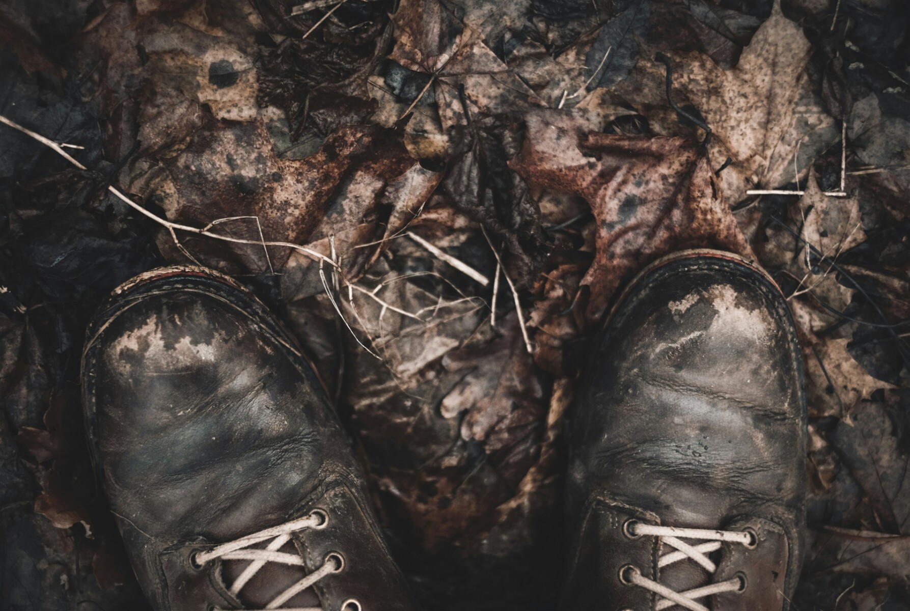 fredrik solli wandem 6s81ZT0d sk unsplash 1920 x 1290